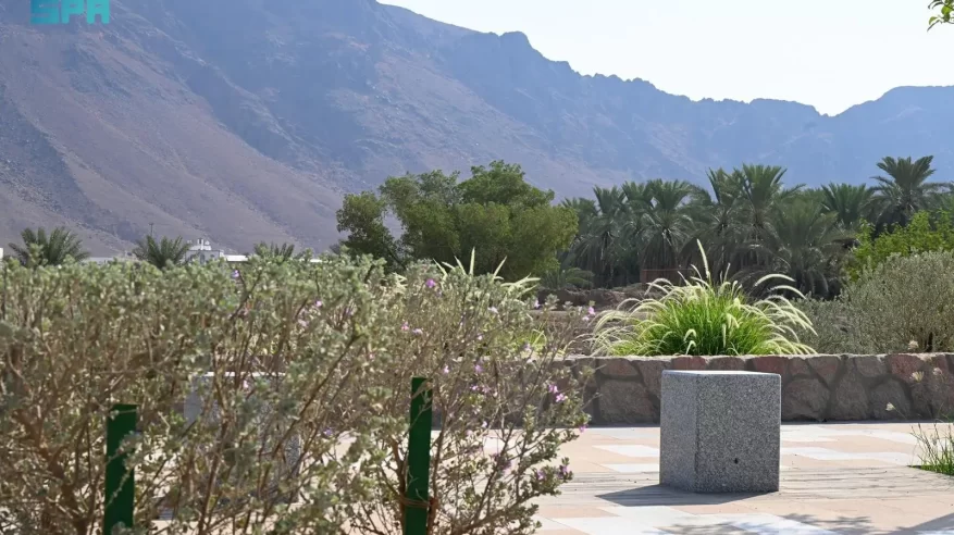 وادي قناة.. معلمٌ تاريخي وبيئي يعزز المشهد الحضري للمدينة المنورة