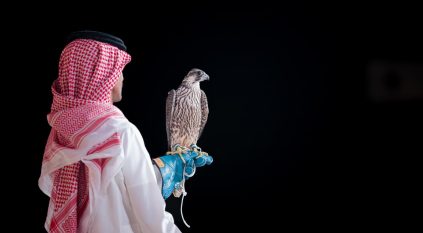 بيع صقرين بـ 578 ألف ريال في الليلة الـ 13 لمزاد نادي الصقور