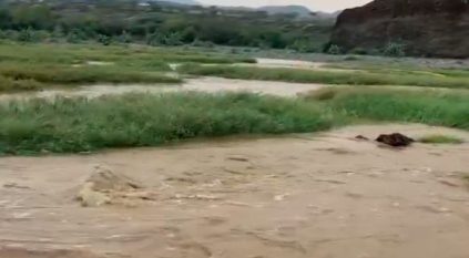 شاهد.. جريان السيول غرب محايل عسير