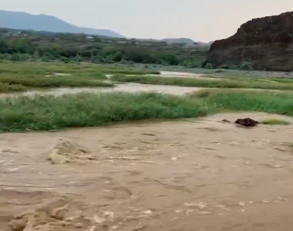 شاهد.. جريان السيول غرب محايل عسير