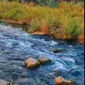 لقطات مذهلة لجريان السيول في بيشة