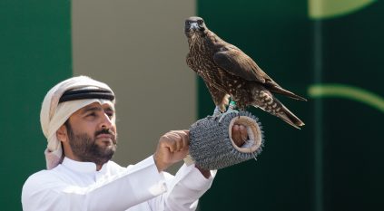 كأس نادي الصقور 2025 يسدل الستار على مسابقة الملواح بـ6 أشواط ختامية للنخبة