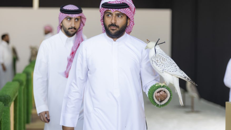 كأس نادي الصقور 2025 يُمهِّد الطريق لمشاركة الصقارين في مهرجان الملك عبدالعزيز