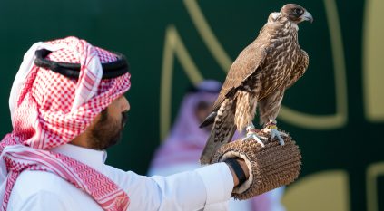 انطلاق كأس نادي الصقور السعودي 2025 بالخبر بتتويج 60 صقارًا فائزًا