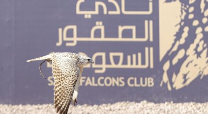 المنطقة الشرقية تستضيف كأس نادي الصقور السعودي 2025