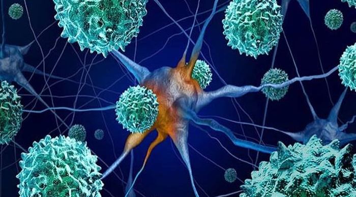 رصد الفيروس الأصلي لشلل الأطفال في مياه صرف صحي بألمانيا