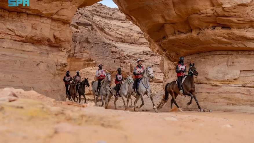 المزروعي يتوّج بطلًا لكأس الاتحاد السعودي للفروسية للقدرة والتحمل
