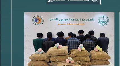القبض على 11 مخالفًا لتهريبهم 165 كيلو قات في عسير