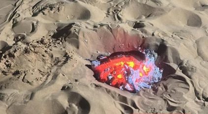 ضبط مخالف أشعل النار في غير الأماكن المخصصة لها بمحمية الإمام عبدالعزيز