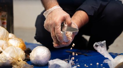 إحباط محاولة تهريب أكثر من 58 ألف حبة إمفيتامين مخبأة في إرسالية زيت زيتون