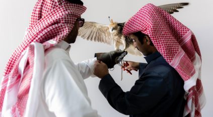 إقبال لافت على توثيق ملكية الصقور في منافسات كأس نادي الصقور 2025