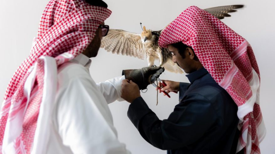 إقبال لافت على توثيق ملكية الصقور في منافسات كأس نادي الصقور 2025