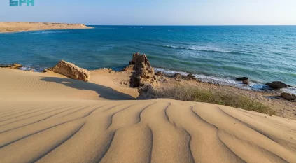 شاطئ الهرابة يكشف تنوّع التكوينات الطبيعية على ساحل الوجه