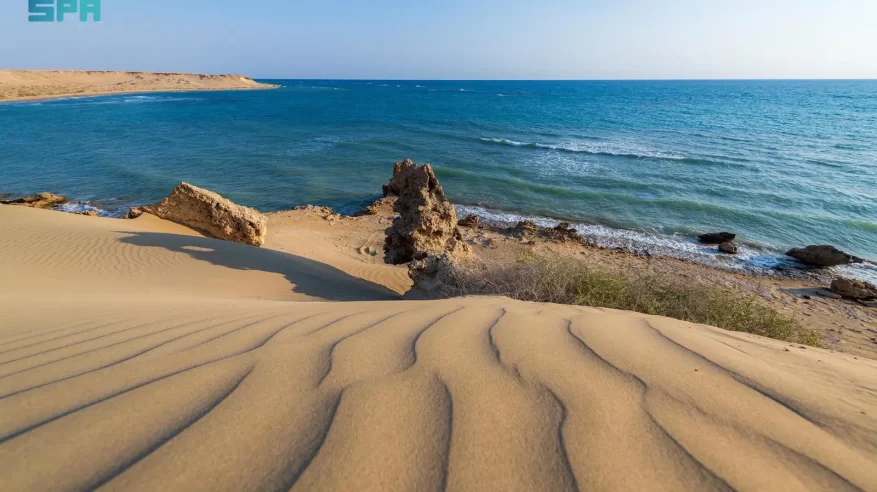 شاطئ الهرابة يكشف تنوّع التكوينات الطبيعية على ساحل الوجه