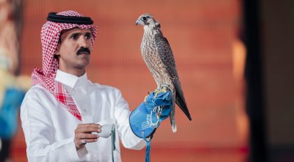 بيع شاهين شرورة بـ 351 ألف ريال في الليلة الـ 25 لمزاد نادي الصقور