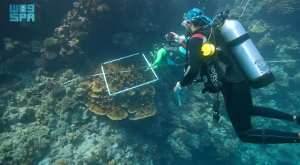 الحياة الفطرية تعلن الكشف عن تنوع أحيائي غير مسبوق في البحر الأحمر