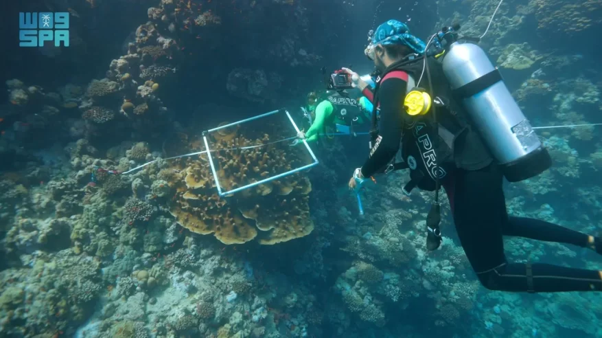 الحياة الفطرية تعلن الكشف عن تنوع أحيائي غير مسبوق في البحر الأحمر