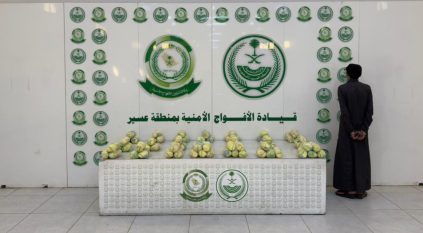 الأفواج الأمنية تقبض على شخص لترويجه 12 كيلو قات في عسير