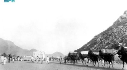 100 عام في ذاكرة الحج.. مسيرة العناية السعودية بالحرمين الشريفين وخدمة ضيوف الرحمن