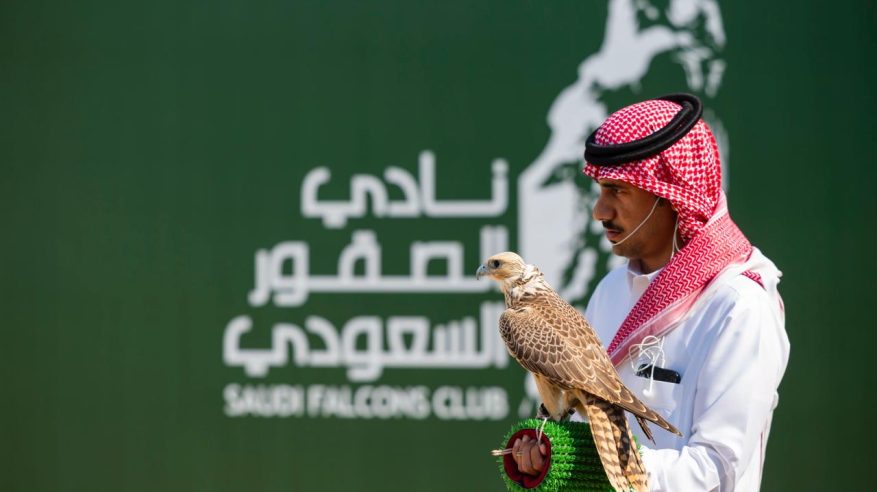 329 صقرًا للمُلّاك تخوض منافسات اليوم الخامس في كأس نادي الصقور 2025