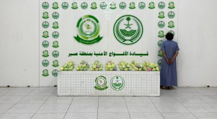 الأفواج الأمنية تقبض على شخص لترويجه 16 كيلو جرامًا من القات بعسير