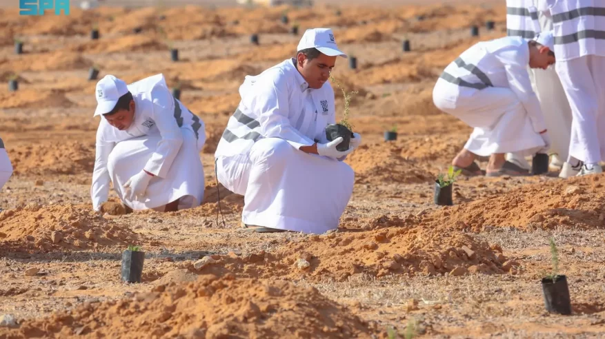 هيئة تطوير محمية الملك سلمان الملكية تنظم مبادرة لزراعة 3000 شتلة