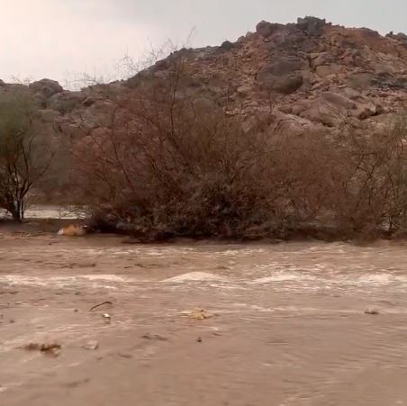 شاهد.. أمطار غزيرة وسيول بأحياء جنوب مكة المكرمة