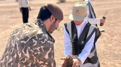 الأمن البيئي ينفذ مبادرة تشجير في حائل