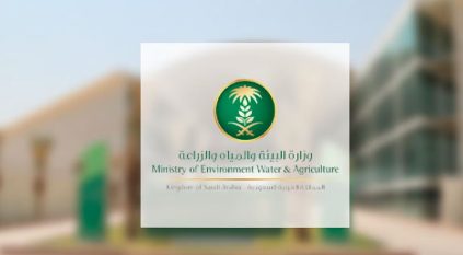 ضبط 427 كيلوجرامًا من الأغذية غير الصالحة للاستهلاك في جازان