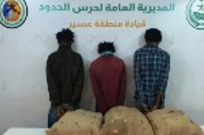 القبض على 3 إثيوبيين لتهريبهم 45 كيلوجرامًا من القات المخدر بعسير