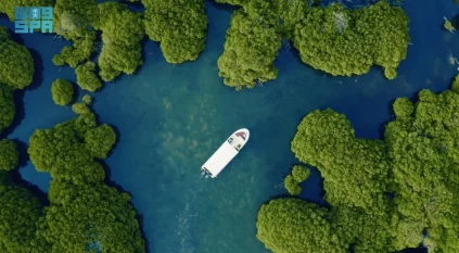 كم جزيرة يضم أرخبيل جزر فرسان؟