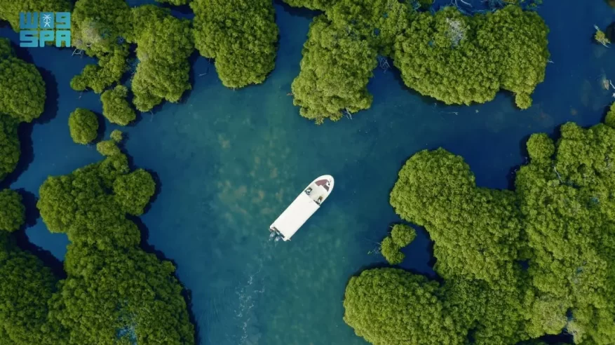 كم جزيرة يضم أرخبيل جزر فرسان؟