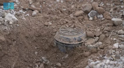 مسام ينزع 1.846 لغمًا من الأراضي اليمنية خلال أسبوع