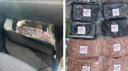 بالتعاون مع السعودية.. إحباط محاولة تهريب مخدرات في لبنان