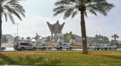 شاهد.. هطول أمطار الخير على حائل