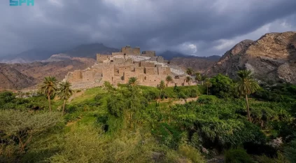 سبب تدفق الماء طوال العام في قرية ذي عين