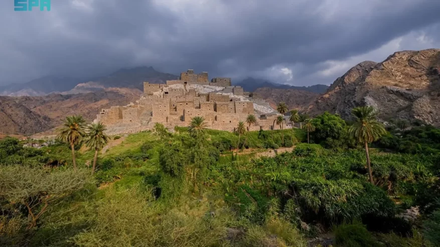 سبب تدفق الماء طوال العام في قرية ذي عين