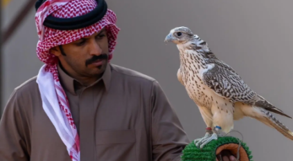 120 صقارًا يدشنون أشواط نخبة المحليين في انطلاق مهرجان الملك عبدالعزيز للصقور 2025