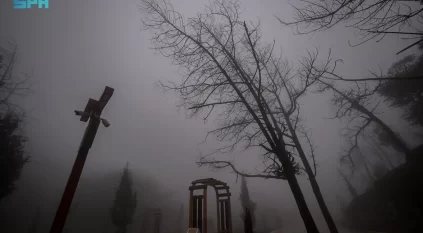 الضباب يغطّي الباحة والأمطار تزيدها جمالًا