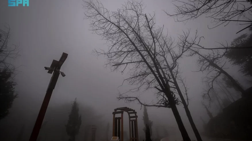 الضباب يغطّي الباحة والأمطار تزيدها جمالًا