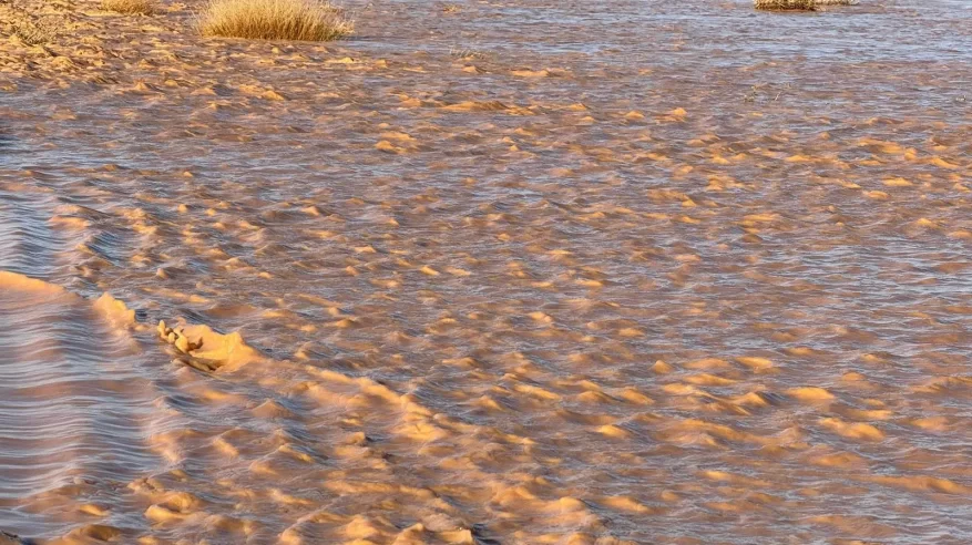 أمطار الخير تُنعش محمية الإمام تركي بن عبدالله الملكية