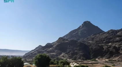 في يومها الدولي.. جبال نجران تجمع التنوع الجغرافي والثراء البيئي
