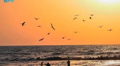 جازان.. تظهر جزرها كحبات زمرد متناثرة ترسم لوحة طبيعية تخطف الأبصار