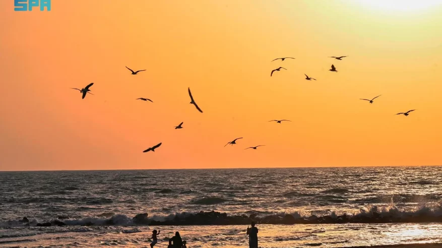 جازان.. تظهر جزرها كحبات زمرد متناثرة ترسم لوحة طبيعية تخطف الأبصار