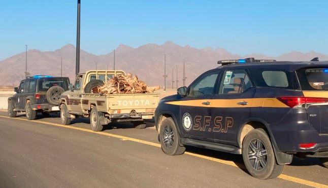 ضبط مواطن مخالف لنظام البيئة بمنطقة تبوك