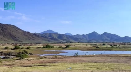 شمال مكة المكرمة يكتسي حُلّة خضراء بعد الأمطار بمشاهد طبيعية تعزز السياحة البيئية