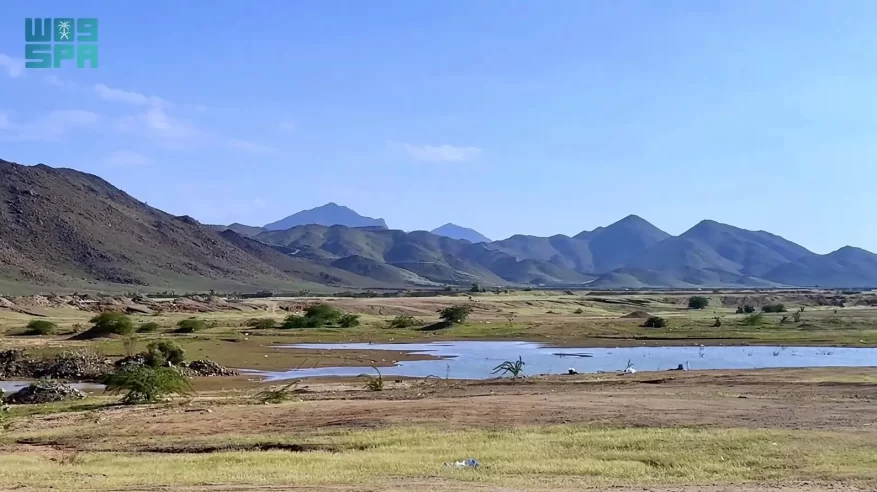 شمال مكة المكرمة يكتسي حُلّة خضراء بعد الأمطار بمشاهد طبيعية تعزز السياحة البيئية