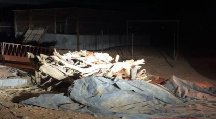 ضبط مواطن بحوزته حطب محلي في محمية الملك خالد