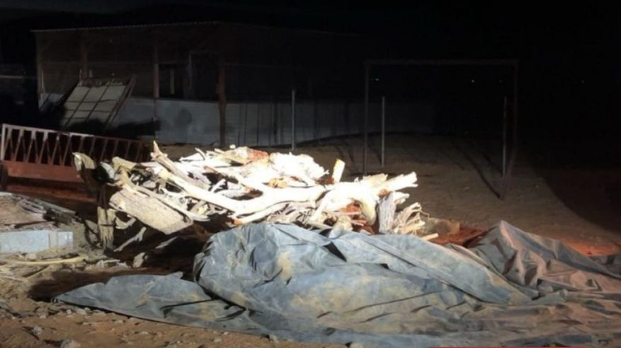 ضبط مواطن بحوزته حطب محلي في محمية الملك خالد