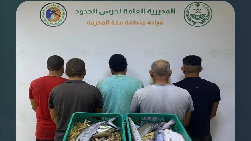 ضبط 5 مخالفين للائحة الأمن والسلامة لمزاولي الأنشطة البحرية